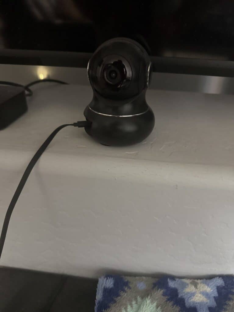pet home camera in home