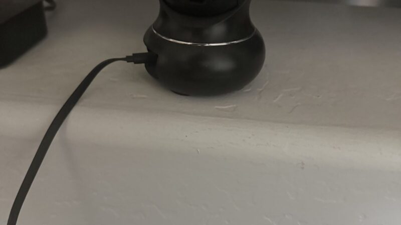 pet home camera in home
