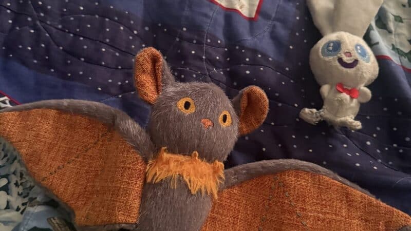 plush toys for a dog