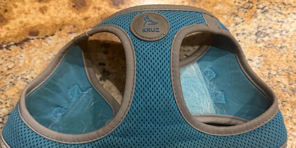 How to Choose a Harness for a Small Dog (and Fit It So She Can’t Slip Out)