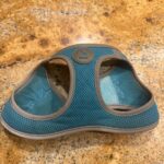 a dog harness on counter