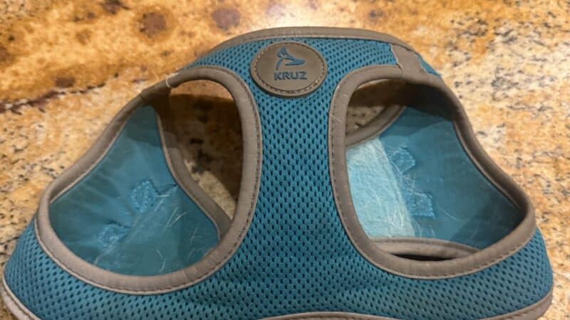 a dog harness on counter
