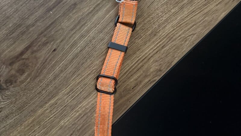 dog id and collar on table