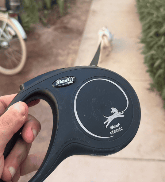 Best Retractable Dog Leashes in 2026:  Lock When You Need To
