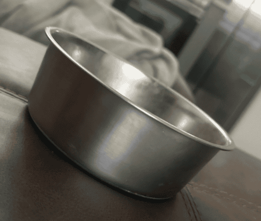 the dog bowl I use for my dog standard bowl