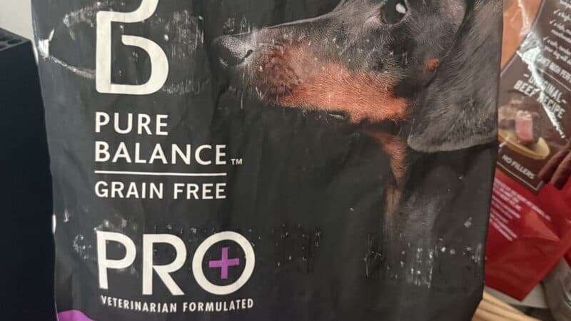 dog food on a counter