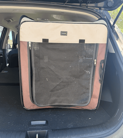 Best Dog Crates for SUVs in 2026: Secure, Space-Smart Picks