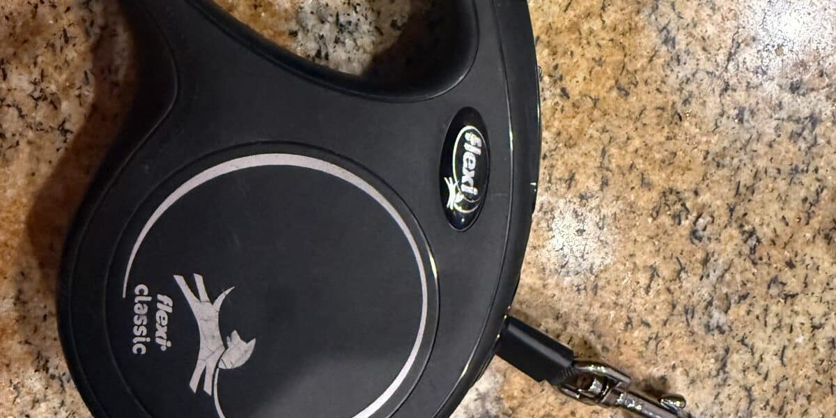 Best Dog Leashes for Small Dogs Built for Safety in 2026