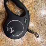a leash made for small dogs