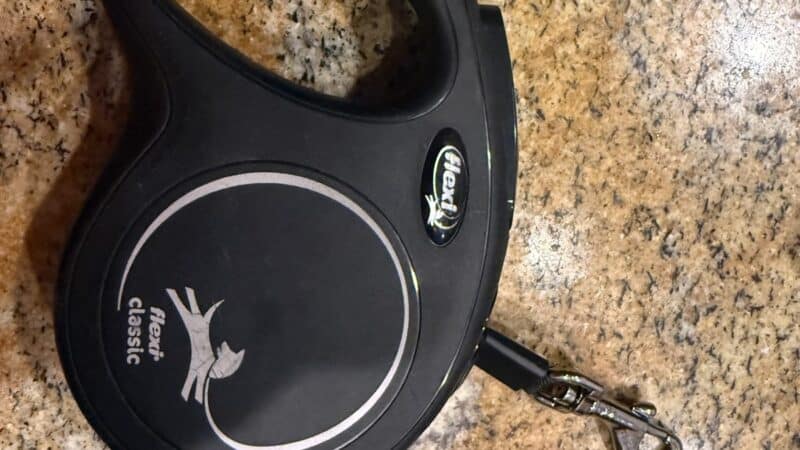a leash made for small dogs