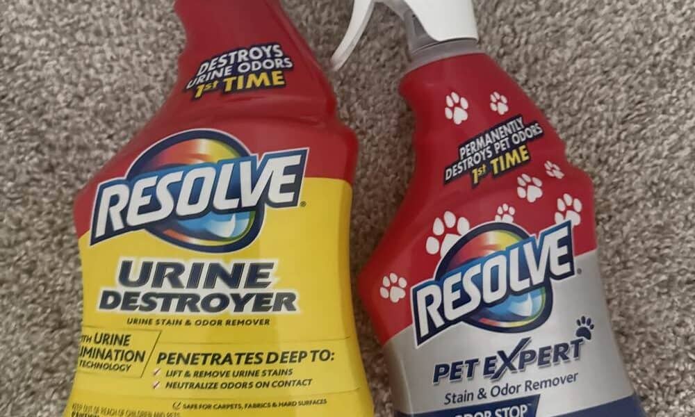 Resolve Urine Destroyer vs Pet Expert: Which Pet Stain Remover to Buy