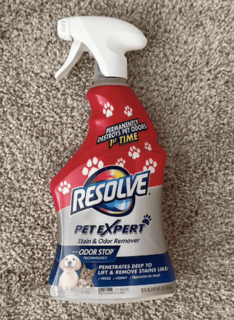 Best Pet Stain and Odor Removers in 2026: Quick and Easy Stain Removal