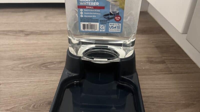 a plastic gravity bowl on floor