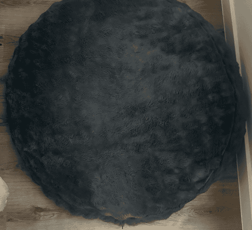 the dog bed used in my home