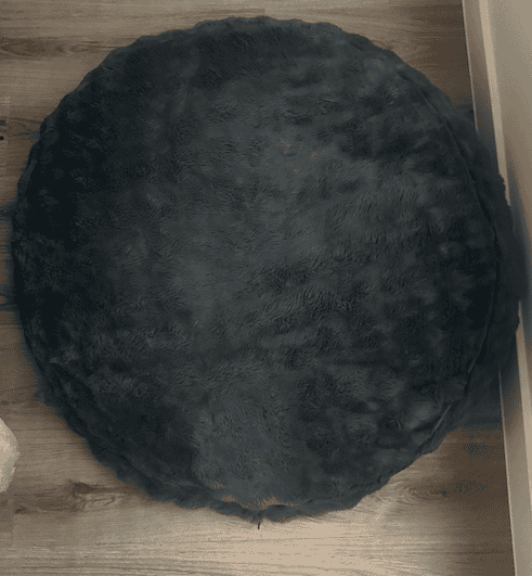 Crate vs Dog Bed: Where Should Your Dog Sleep