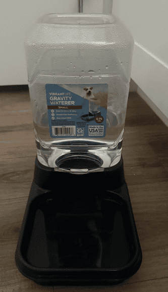 Gravity vs Fountain Water Bowl: Which Is Better for Dogs