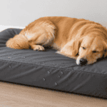 a waterproof dog bed cover for a senior dog