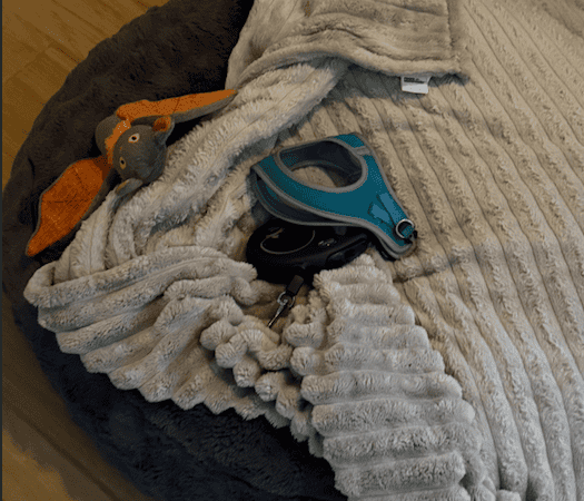 a bed setup with a harness and leash on top