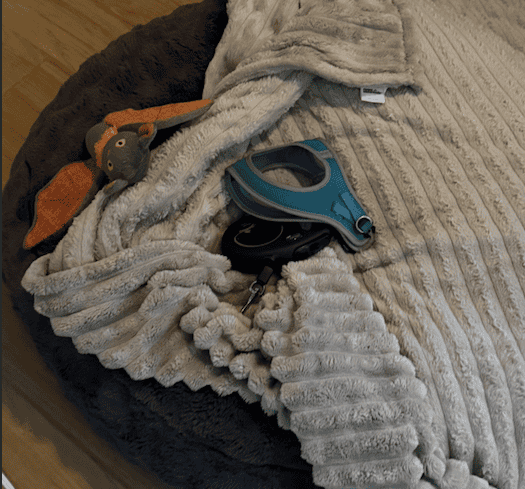 a bed setup with a harness and leash on top