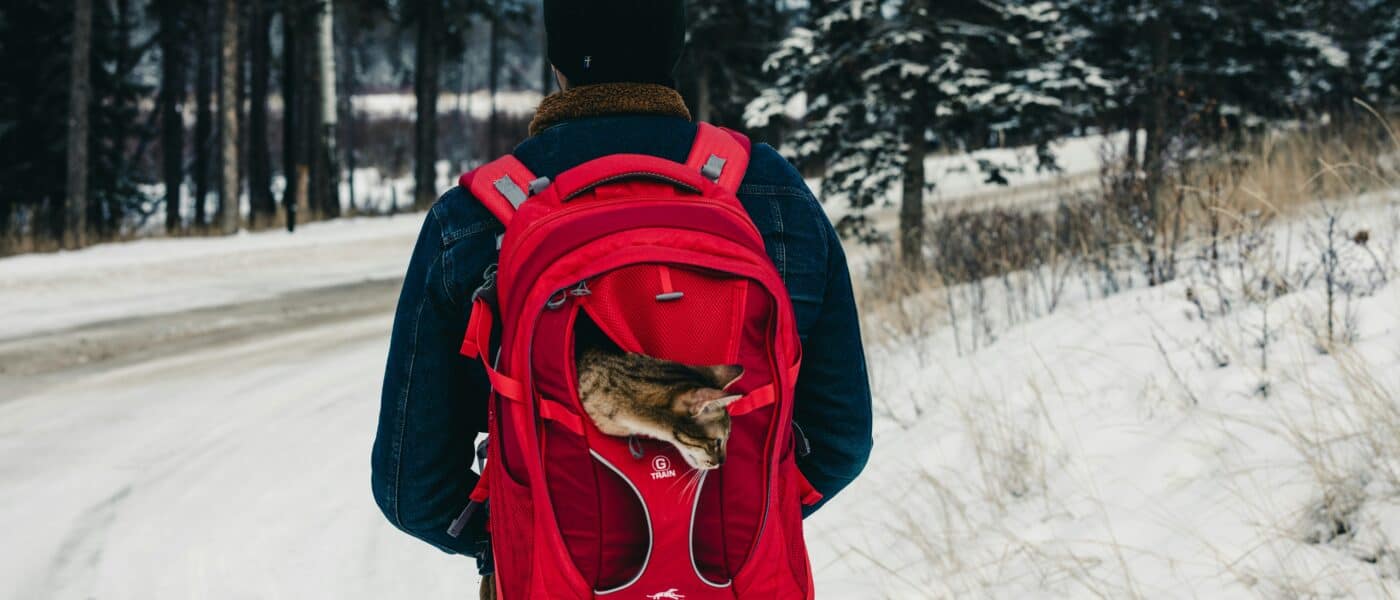 Best Cat Backpack Carriers in 2026: Ventilation, Weight Distribution, and Cats Who Will Actually Use One