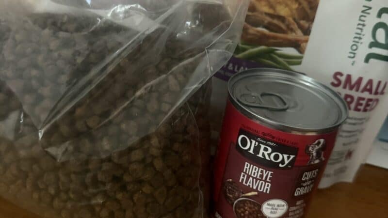 a change of dog food with variety of choices