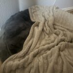 a dog bed in set area in home