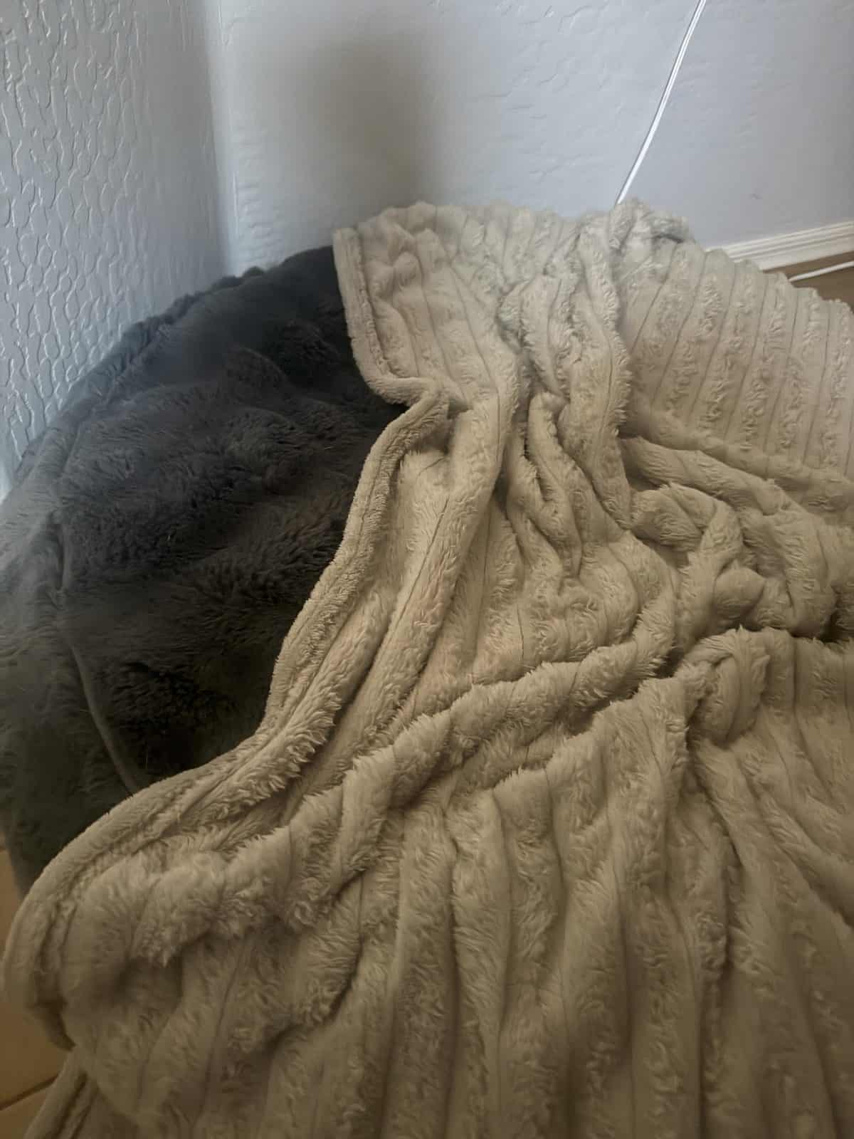 Where to Put Your Dog’s Bed