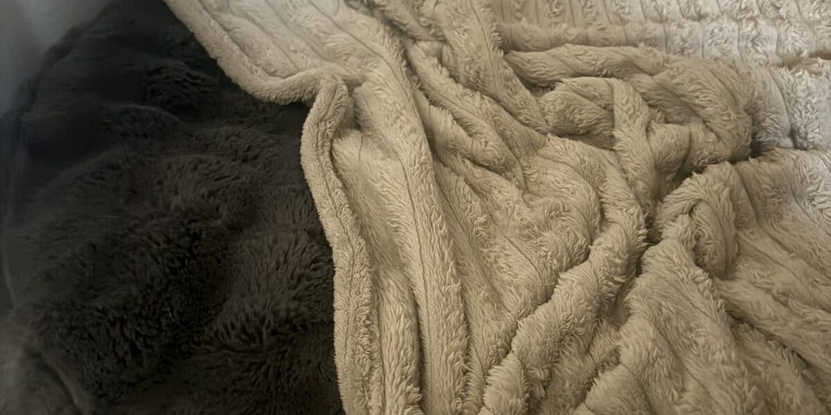Bolster vs Flat Dog Bed: Which Is Better for Your Dog?