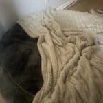 a dog bed with blanket on it
