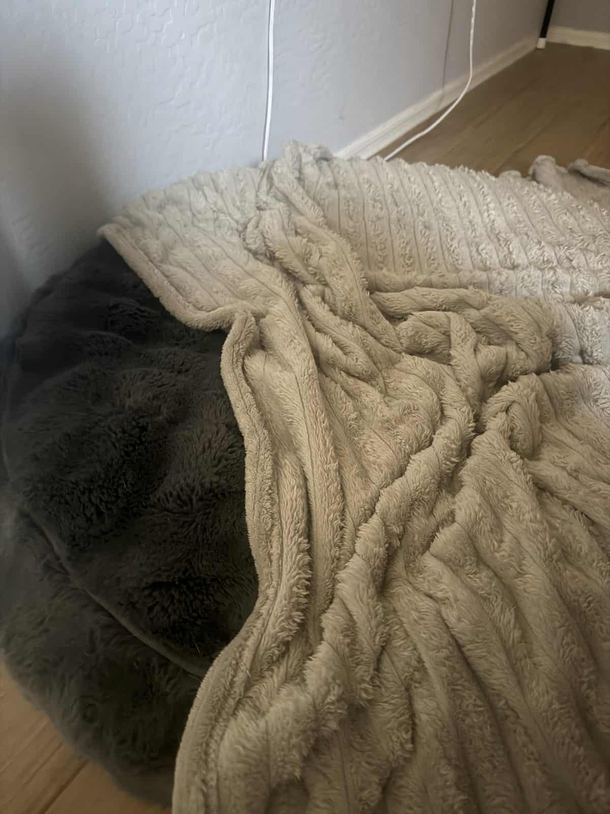Bolster vs Flat Dog Bed: Which Is Better for Your Dog?