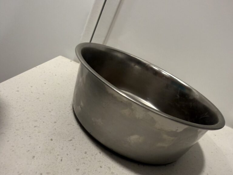 a dog bowl for food on countertop