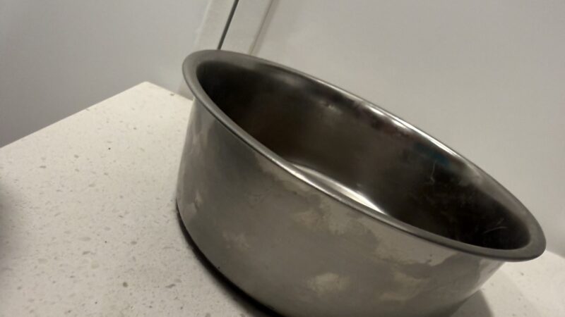 a dog bowl for food on countertop