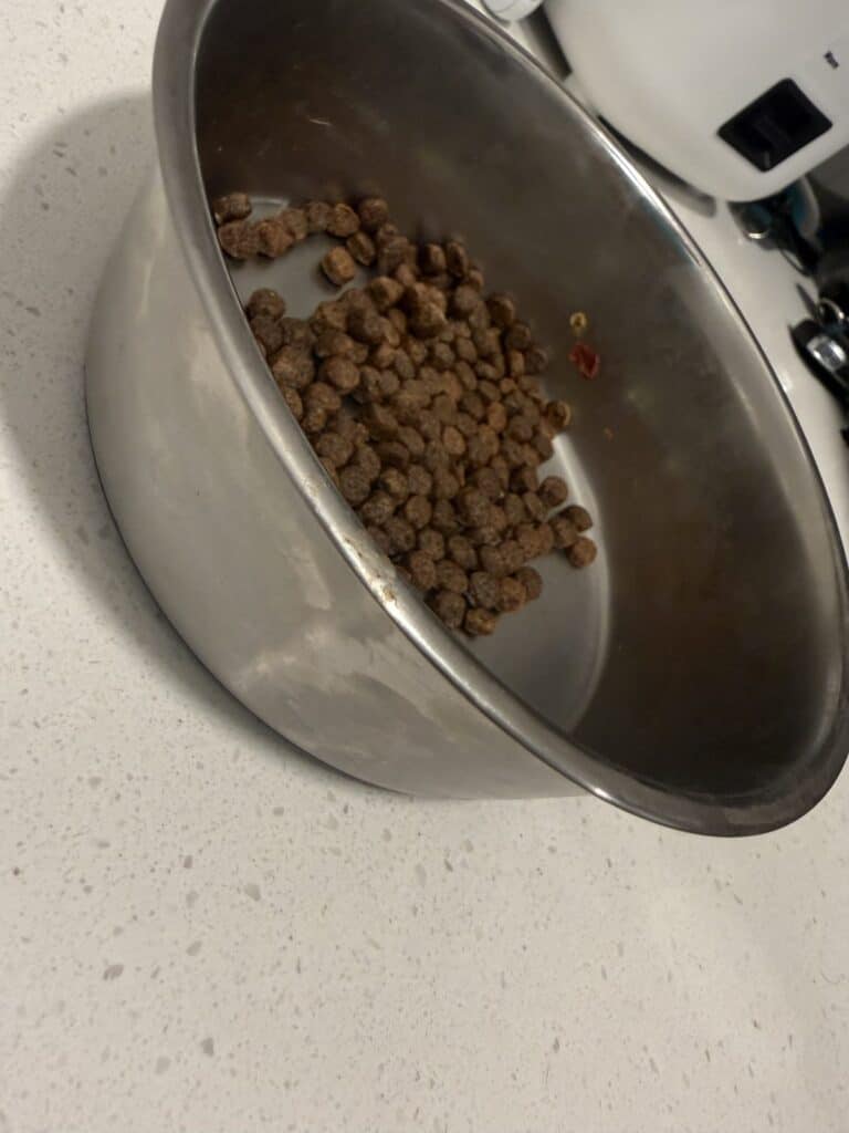a dog bowl on kitchen counter