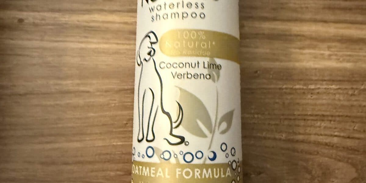 Best Dog Dry Shampoos in 2026: No-Rinse Picks for Fresh Fur Between Baths