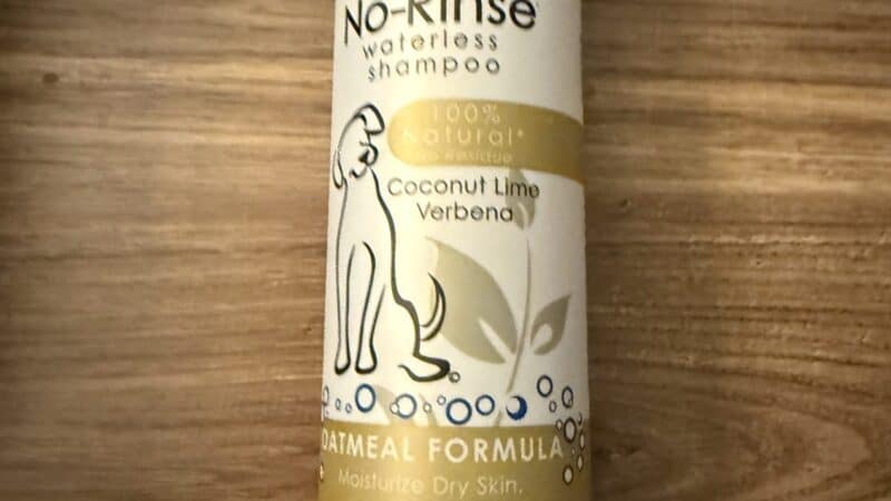 dog dry shampoo on counter