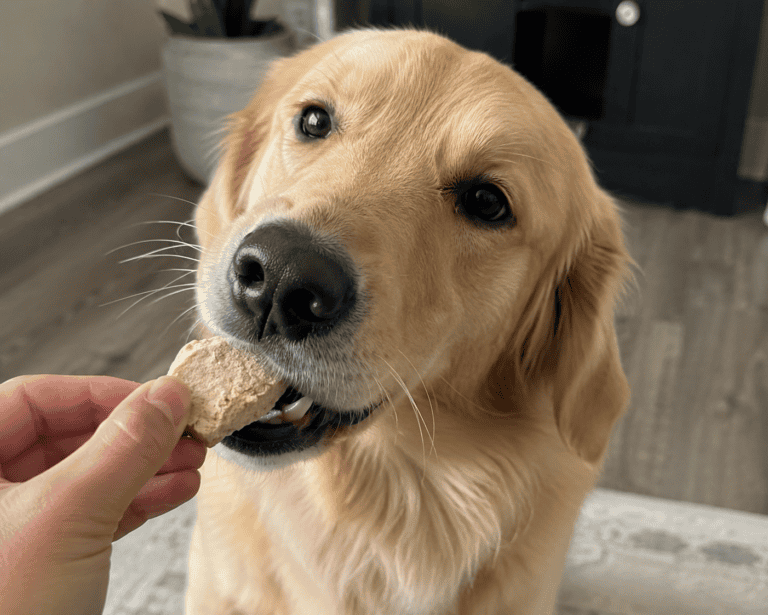 a dog eating freeze dried dog treats