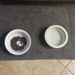 a dog feeding mat in home