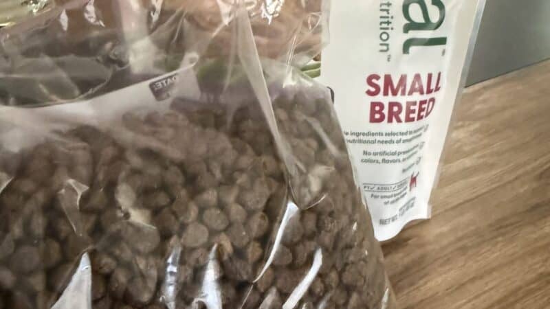 fresh and dry dog food