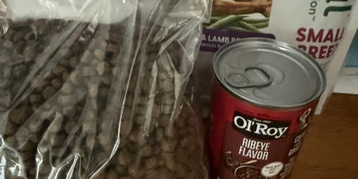 How to Run a Dog Food Taste Test at Home: Going Off Patterns and Vibes