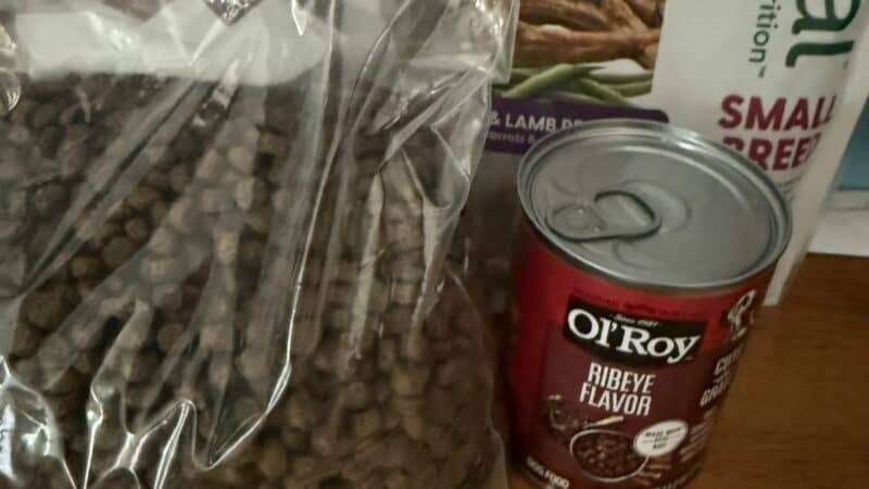 a dog food variety lay out
