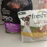 food that i feed my dog
