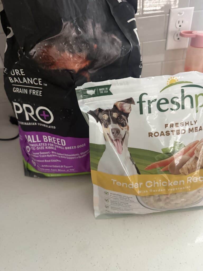 food that i feed my dog