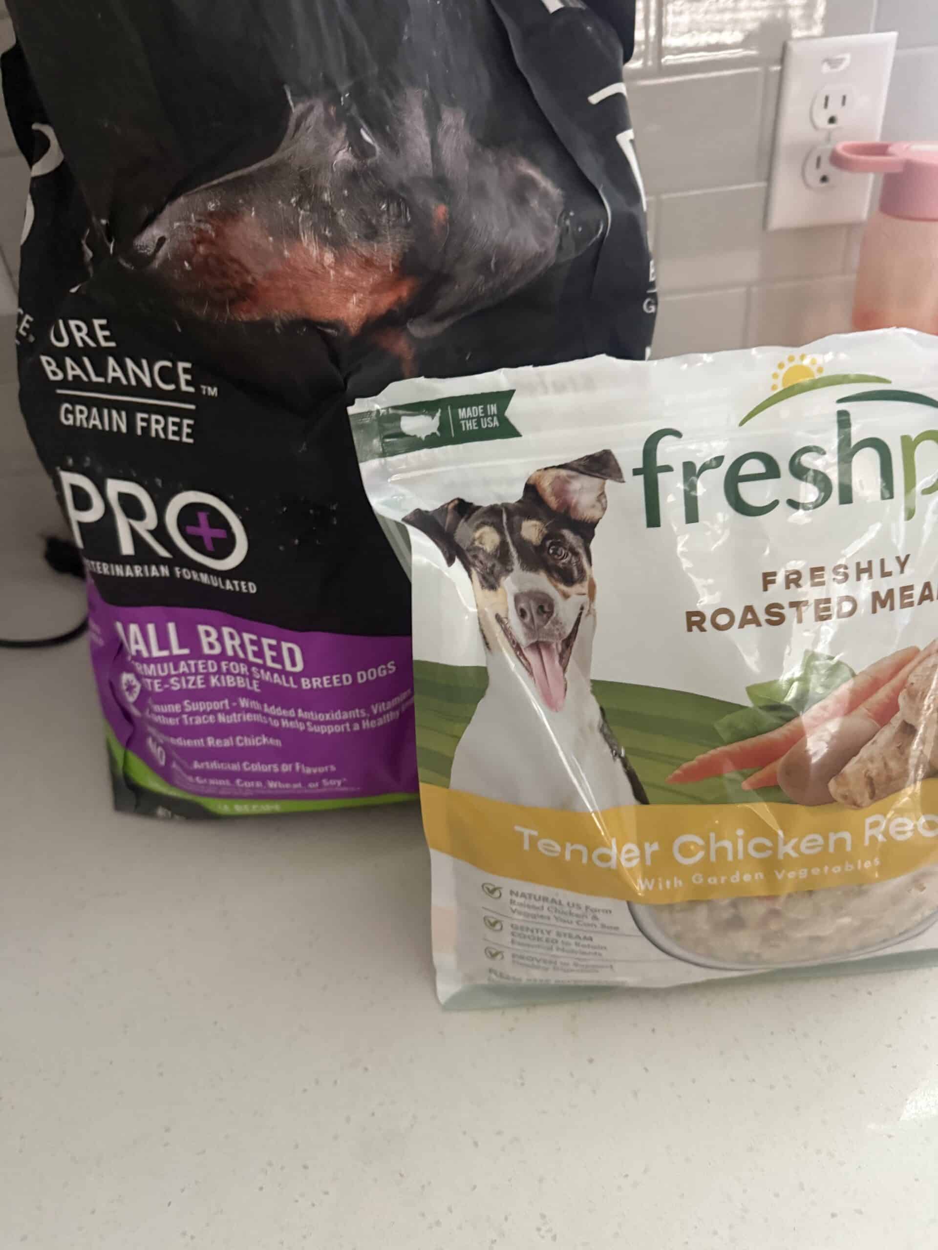 Best Dog Food for Medium Dogs in 2026: The Size Nobody Formulates For