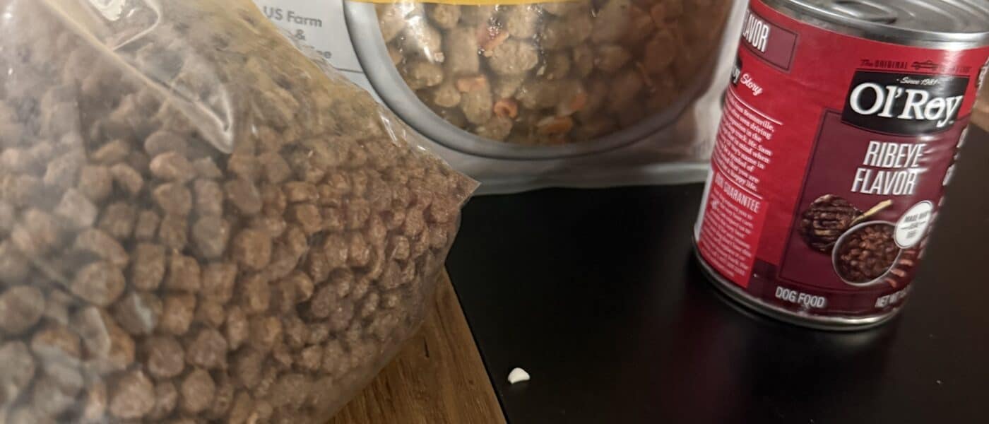 Best Dog Food for Picky Eaters in 2026: What Finally Got Mine Eating