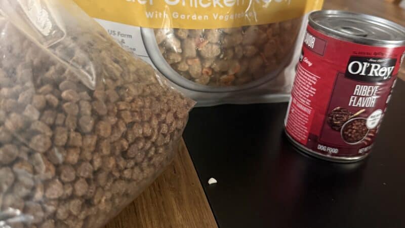 dog food layout for picky eaters
