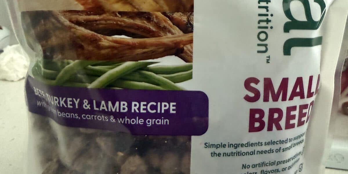 How to Feed Fresh Dog Food: Portions, Toppers, and Safe Serving