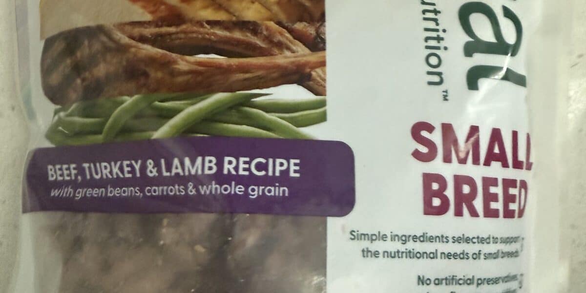 Best Fresh Dog Food in 2026: Refrigerated and Gently Cooked Picks