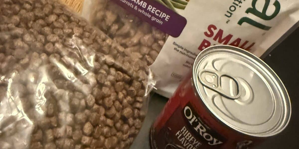 Fresh vs Wet vs Dry Dog Food: A Three-Way Comparison