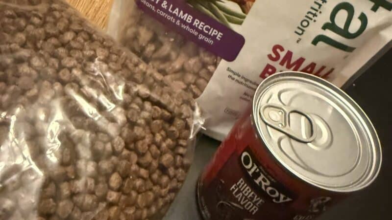 Fresh, dry and wet dog food