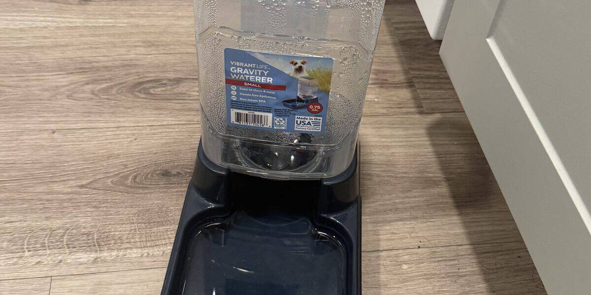 Are Gravity Water Bowls Good for Dogs?